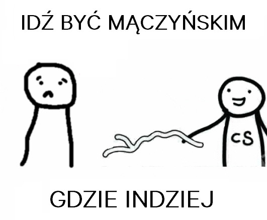 Internauci pod wrażeniem gry Polaków - memy po meczu