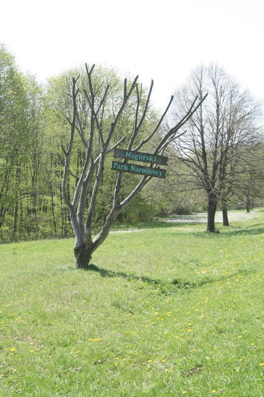 Wiosna w Beskidzie Niskim. Foto. Jędrzej Trzciński