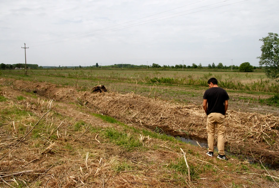 Tokom istrage u medijima su se navodili i kamen, motka, bejzbol palica, pa i čekić i šrafciger