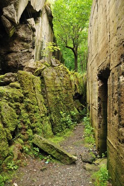 'Wilczy Szaniec' po nowemu. Rewitalizacja miejsca po dawnej kwaterze głównej Hitlera