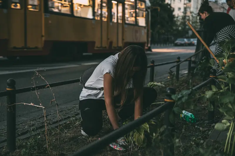 Obsadzanie zaniedbanego miejsca przy ul. Kawęczyńskiej