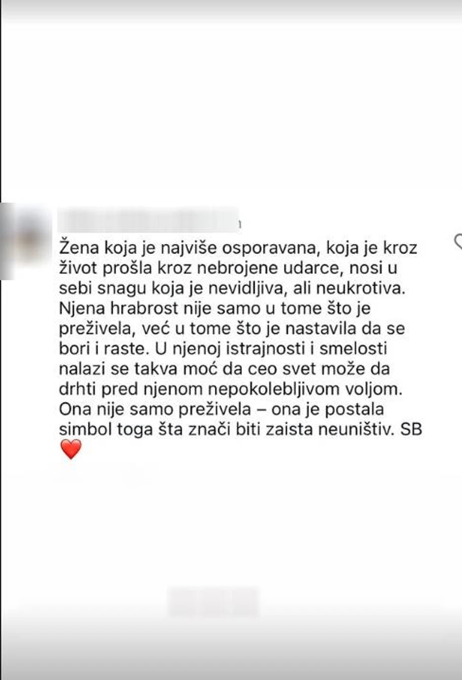 Snežana Borjan, objava