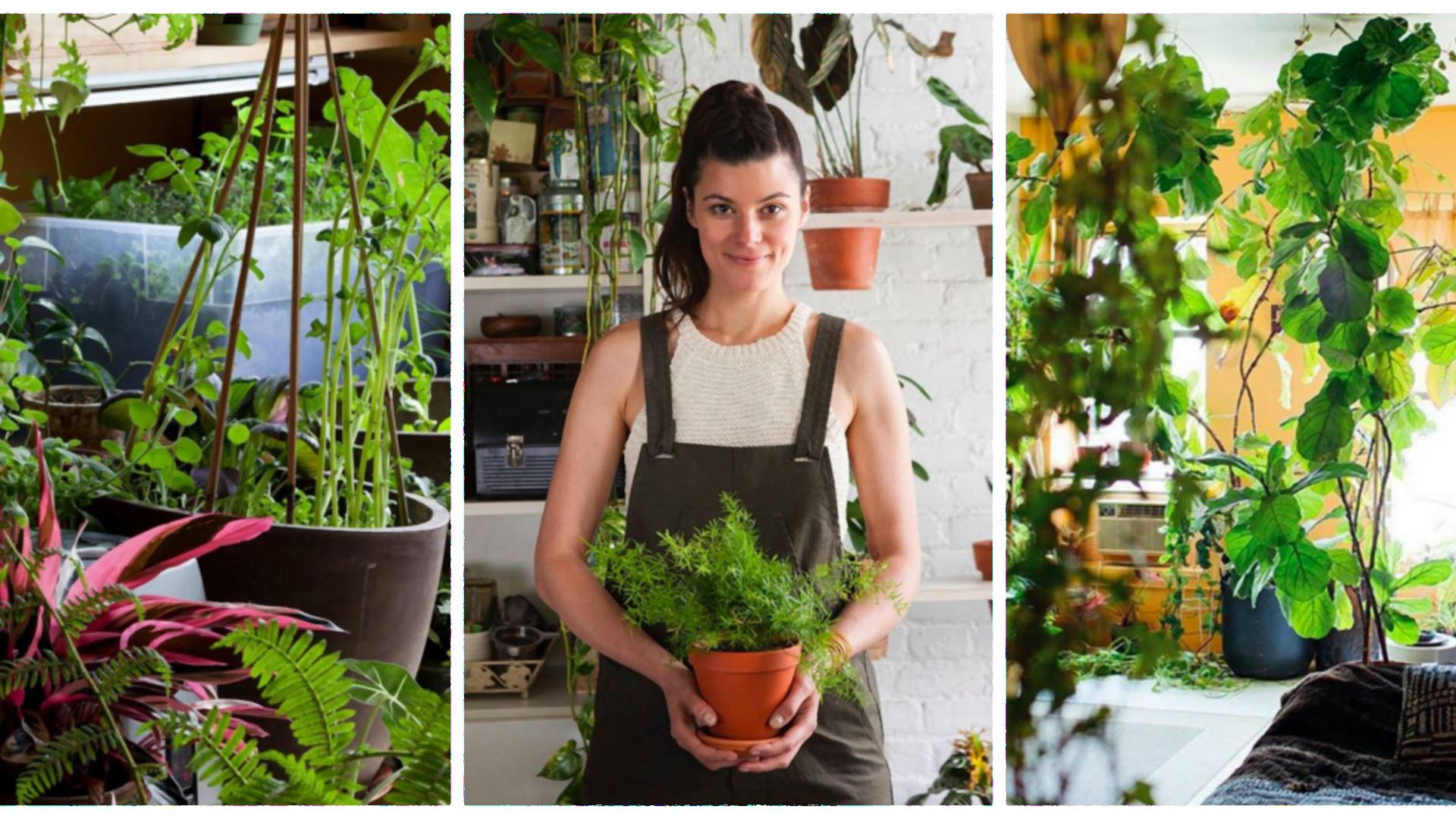 Bytová džungľa v New Yorku: Žena pestuje vyše 500 rastlín