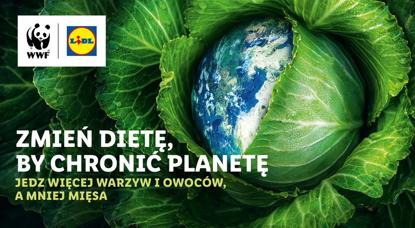 LIDL POLSKA WWF POLSKA GRAFIKA