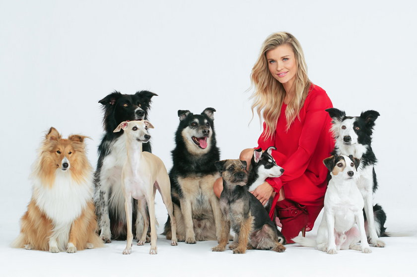 Joanna Krupa z psami