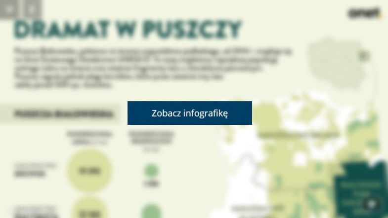 Puszcza Białowieska - najważniejsze informacje 