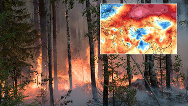 Stan klęski żywiołowej w części Rosji. Syberia walczy z pożarami i upałami [WIDEO]