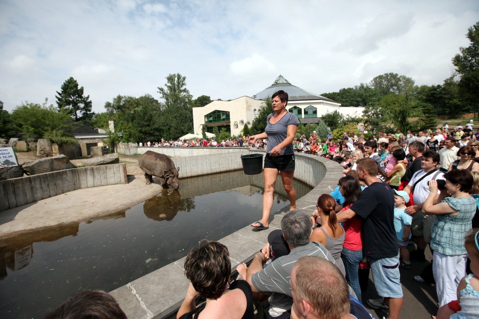 WARSZAWA ZOO POKAZY KARMIENIA