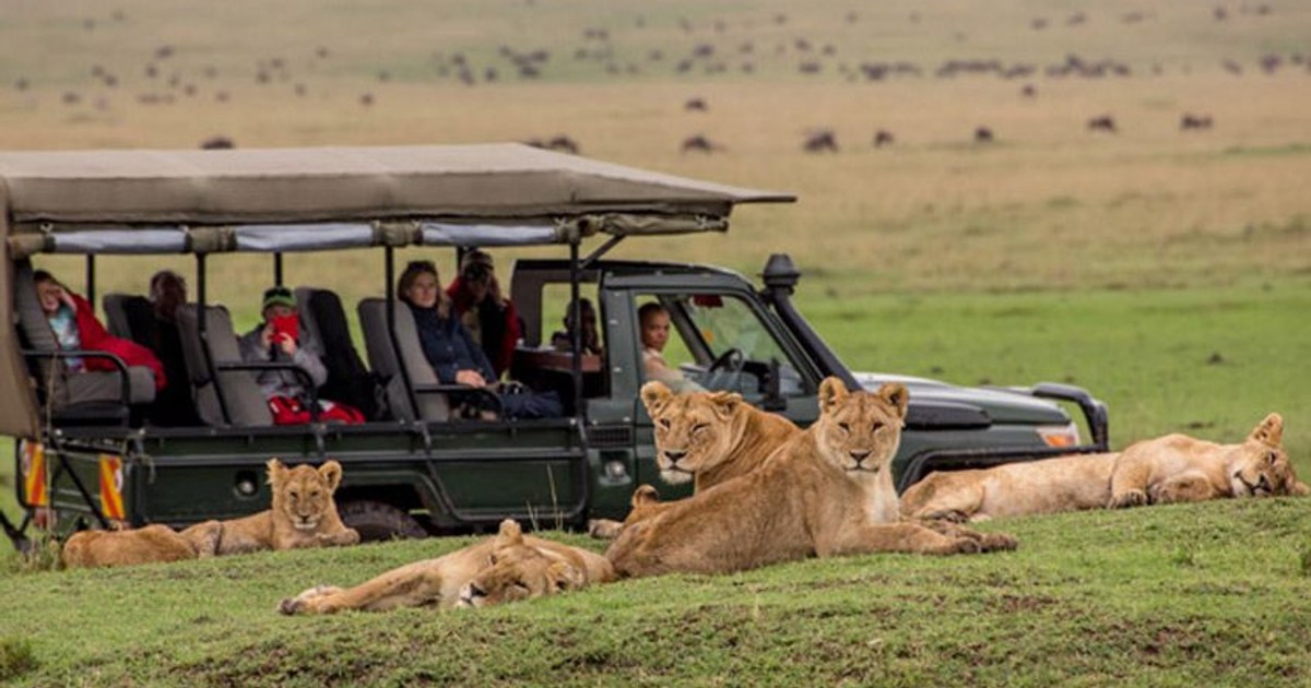 From Ghana to Kenya - How we planned our 3 days Masai Mara Safari - Vimarsana News