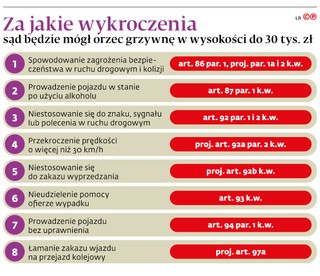 Za jakie wykroczenia sąd będzie mógł orzec grzywnę w wysokości do 30 tys. zł