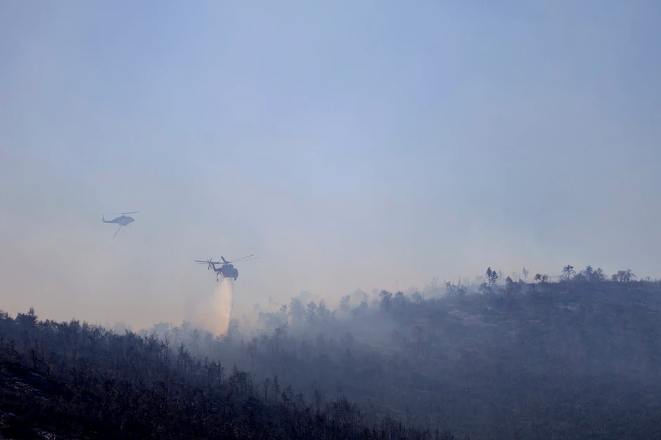 Šumski požar na planini Parnita severozapadno od Atine 29. juna
