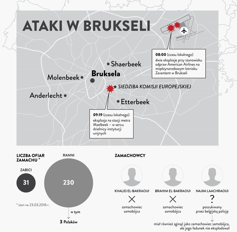 zamach w brukseli - infografika