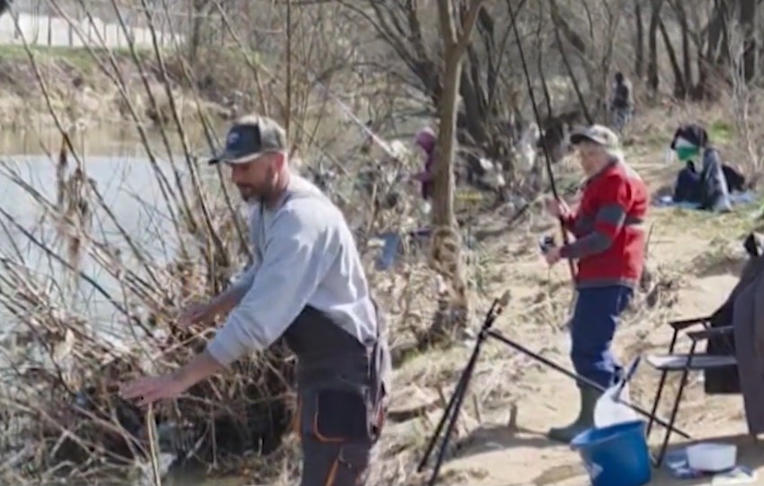 Negica peca na Moravi