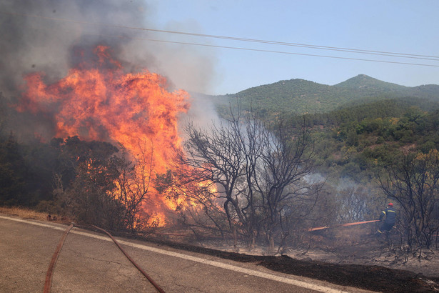 W ubiegłym roku ogień zniszczył 1750 km kw. terenów Grecji