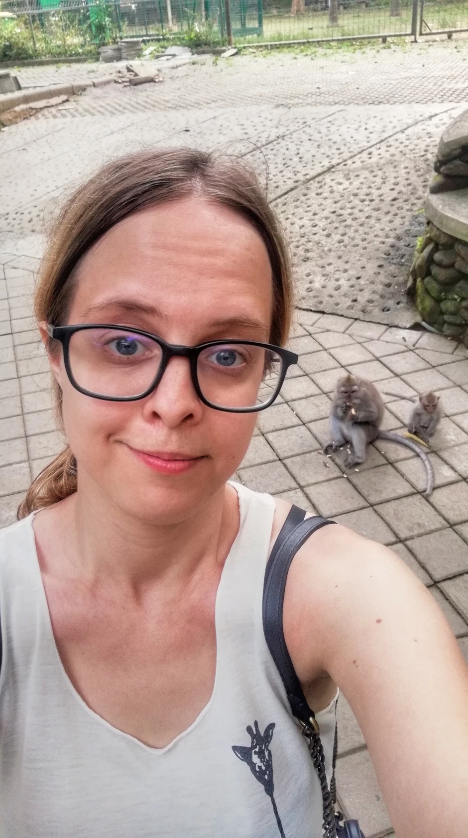 Mangupi vrebaju trenutak nepažnje