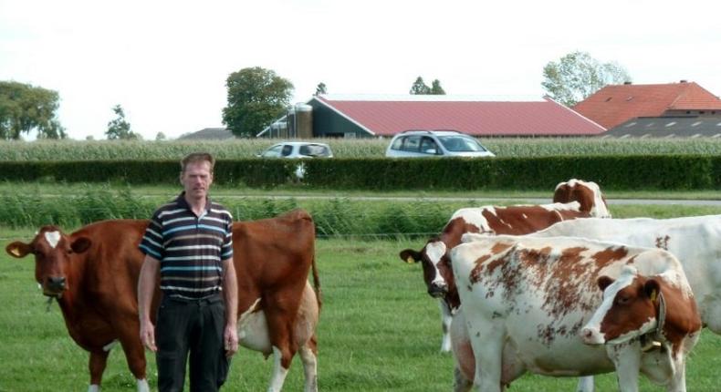 Many Dutch farmers, such as dairy producer Gerard Hartveld, who have no family to step into their boots when they retire, face the uncertainty of ensuring their land and livelihoods continue for another generation