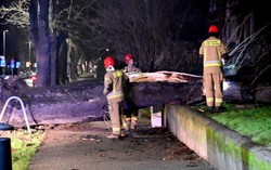 Potężne wichury nad Polską. Jedna ofiara śmiertelna, setki tysięcy mieszkańców bez prądu