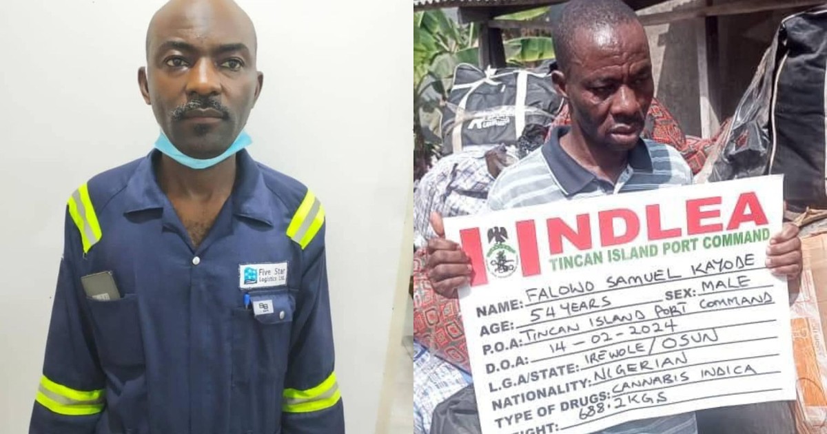 NDLEA seizes cocaine, colorado, arms from South Africa, arrests dock worker - Vimarsana News
