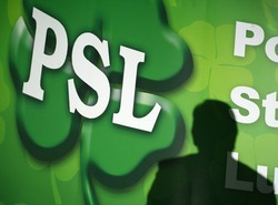 Działaczka PSL oszukiwała przy dotacjach?