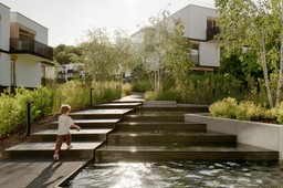 mieszkania na sprzedaż w nowych kolibkach - kiedy las wlewa się do wnę