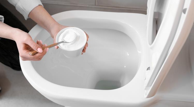 Így lesz tiszta a WC! Fotó: Shutterstock