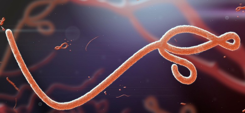 Czy ebola dotarła już do Wielkiej Brytanii?