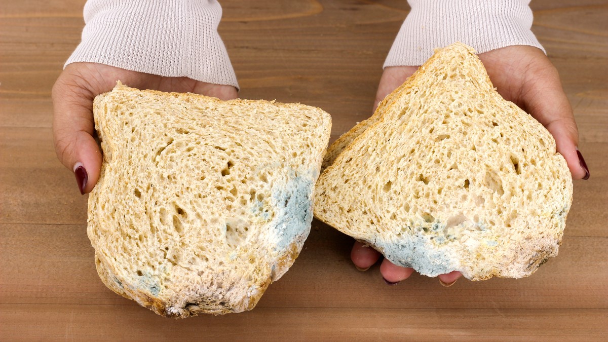 Buđav hleb ne treba jesti, čak ni kada se plesan skine