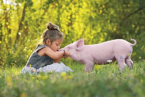 Wegetarian wciąż przybywa, także w Polse