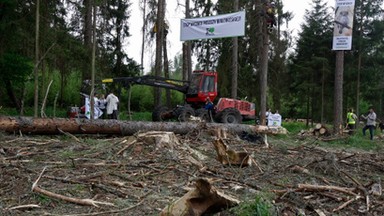 Białystok: koniec procesu ws. napaści na operatora telewizji Polsat w Puszczy Białowieskiej