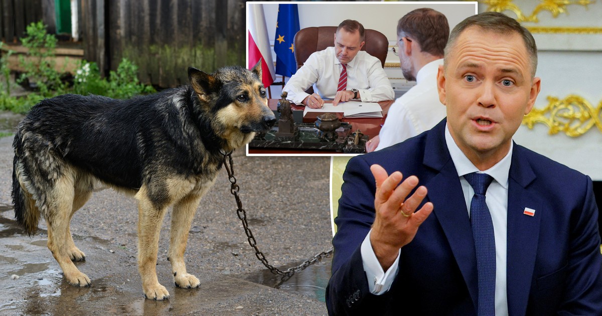 Prezydent wetuje ustawę łańcuchową. Złożył własny projekt