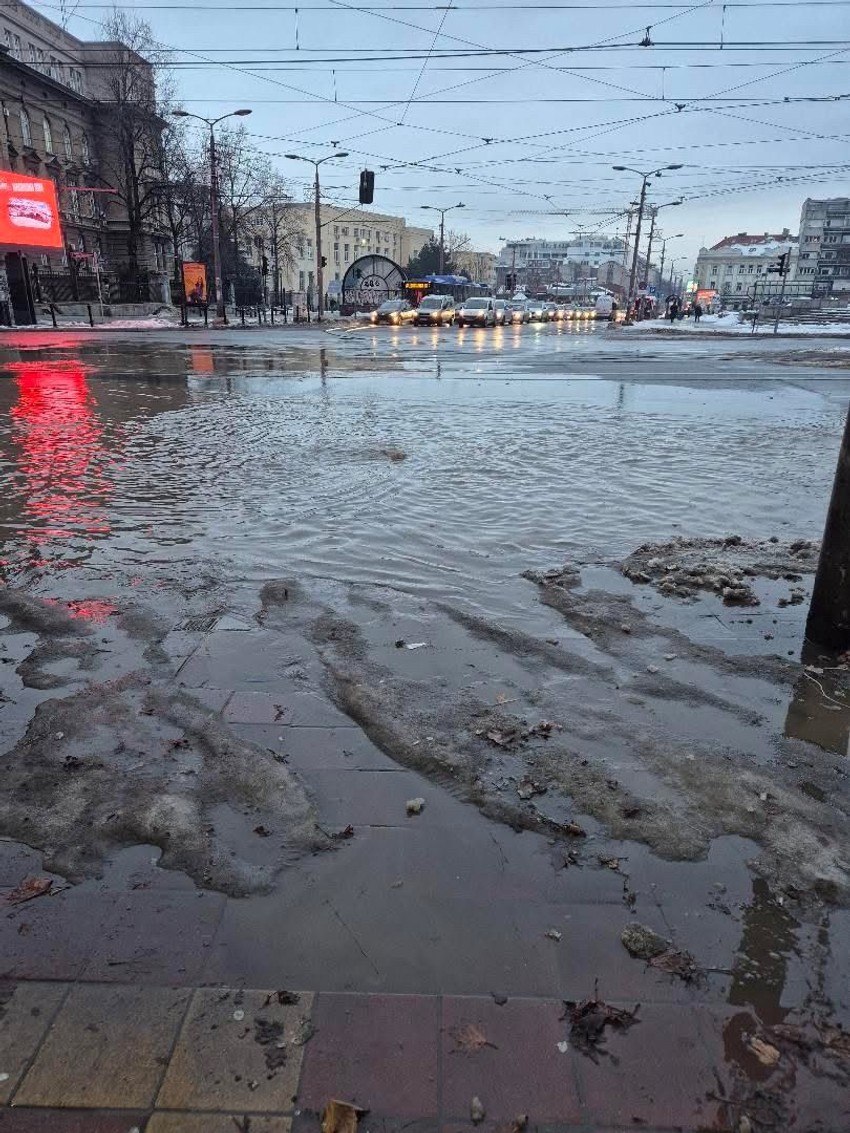 Izlila se kanalizacija u Golsvordijevoj