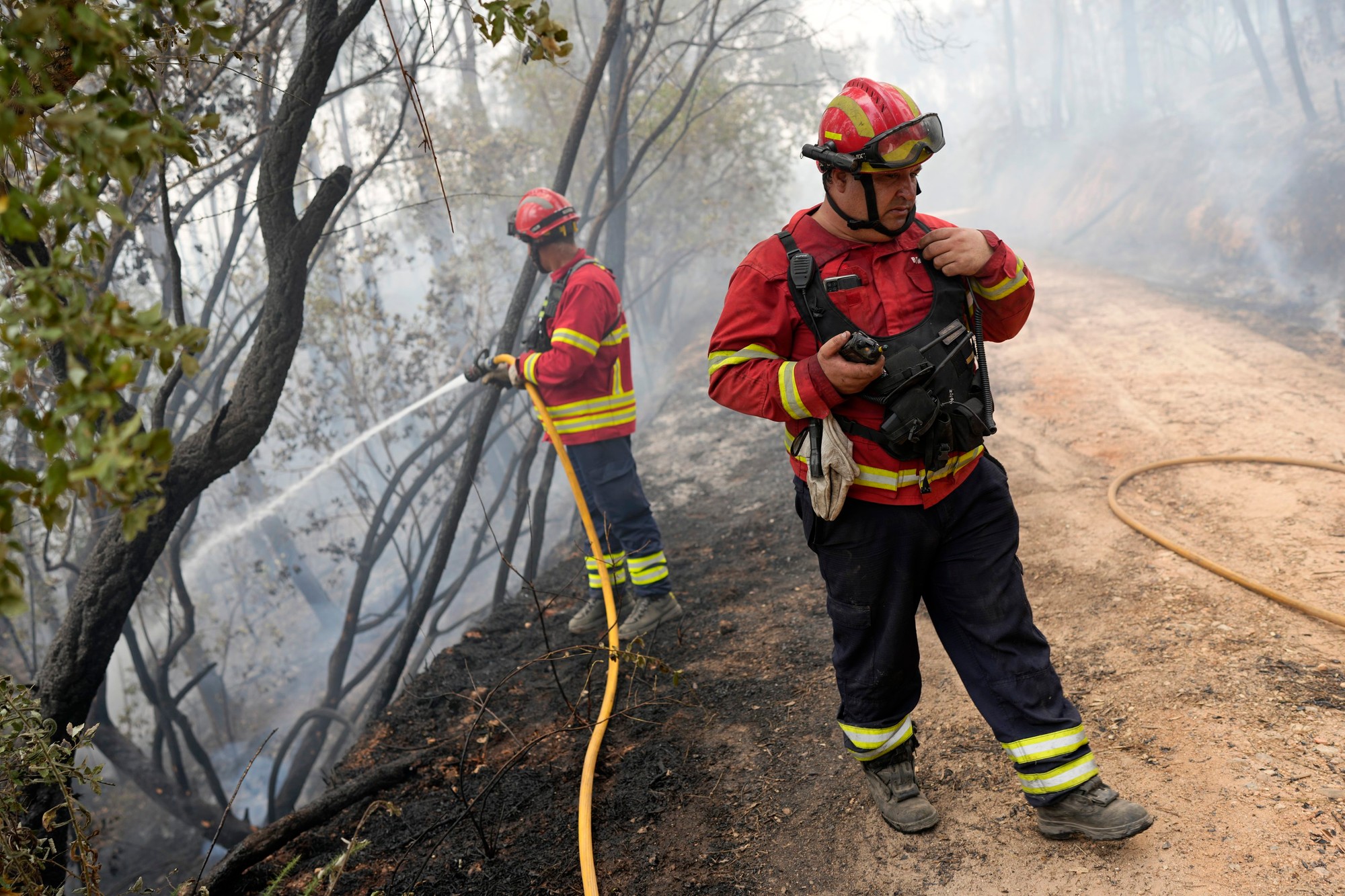 Takto to vyzerá v Portugalsku. 