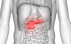 Bioniczna trzustka – przełom w leczeniu cukrzycy? Prace trwają