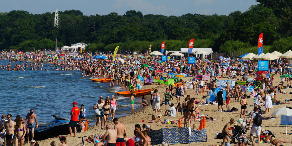 Uwaga, sinice na plażach