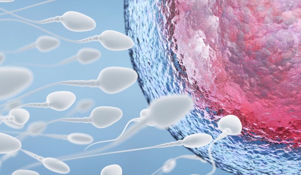 sorti_sperma_prenosi_bolesti_vesti_blic_safe_sto