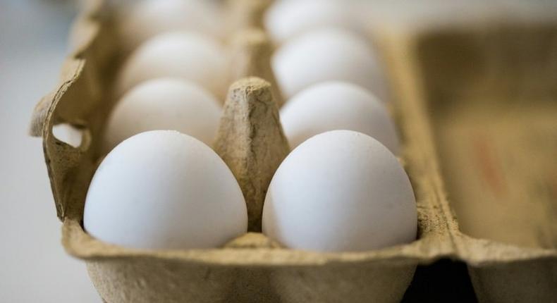 Eggs contaminated with the chemical fipronil have been found across Europe