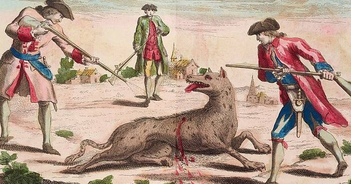 La Bête du Gévaudan.  Quel animal tué en France au XVIIIe siècle ?