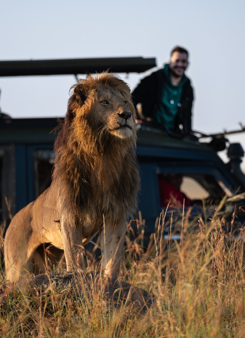 Lavovi su za Đorđa najveća fascinacija