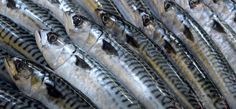 Pasta z makreli – przepis na pastę rybną domowej roboty