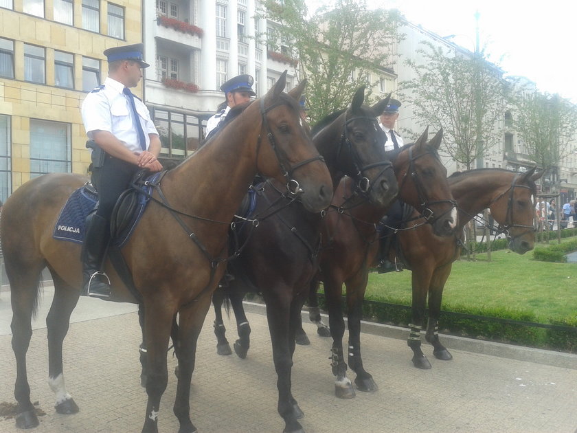 Policjanci na koniach