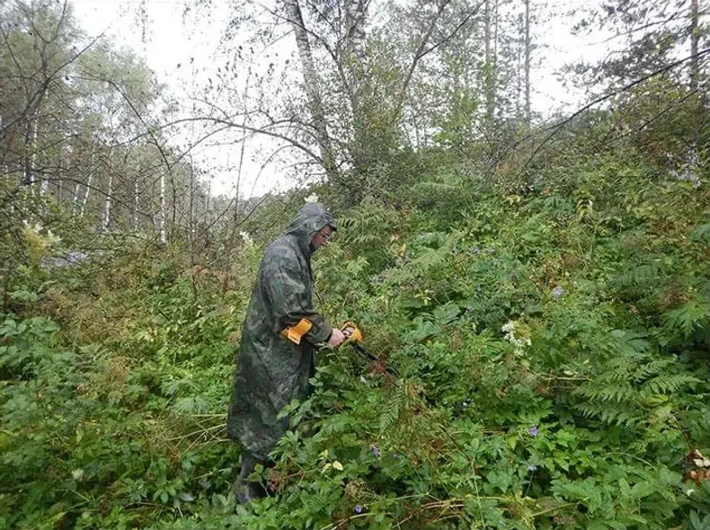 Sibirski zid ispod slojeva trave i biljaka