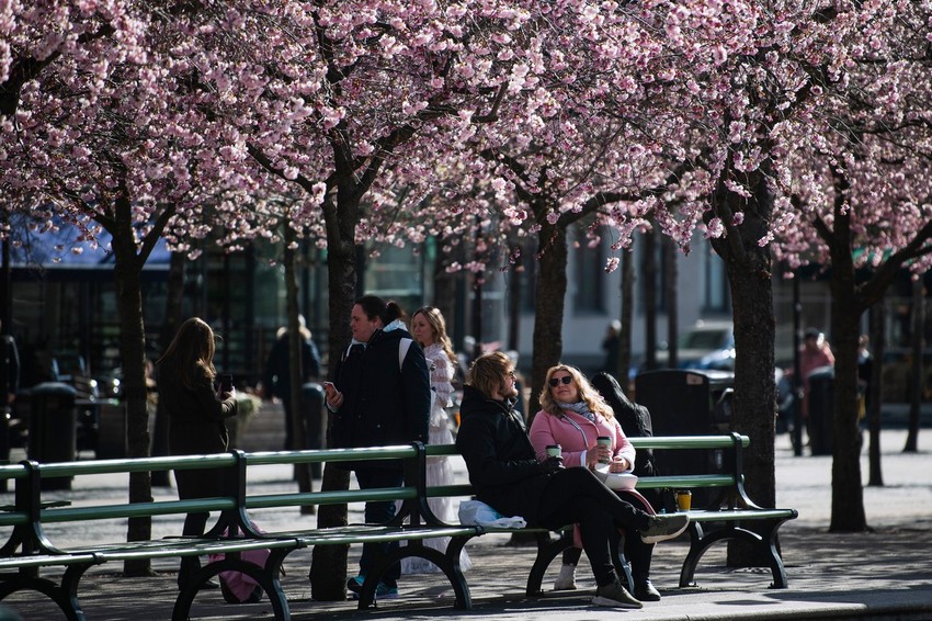 Švedska se odlučila za kontroverzan pristup borbi sa korona virusom - pokušava da izgradi kolektivni odnosno imunitet stada