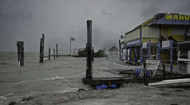 Több mint fél évszázados rejtélyt oldott meg az Irma hurrikán / Fotó: AFP