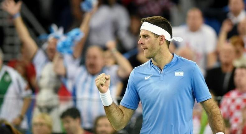 Argentina's Juan Martin del Potro, pictured in November 2016, withdrew from the Auckland Classic and Australian Open