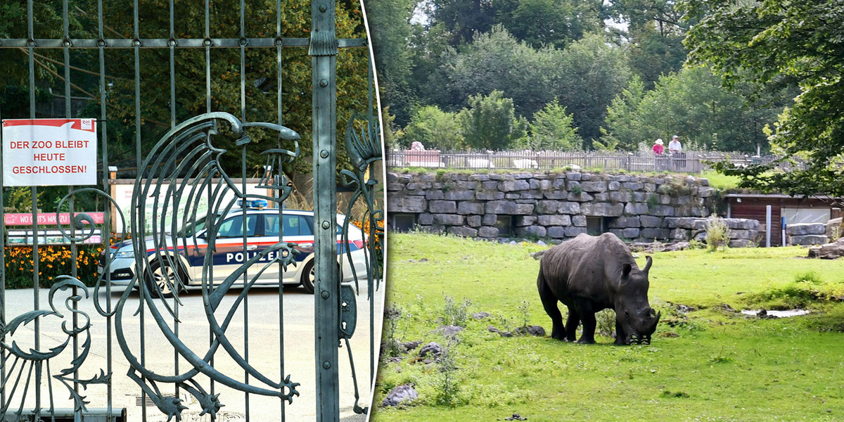Tragedia w austriackim zoo. 