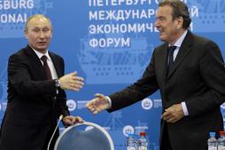 Władimir Putin Gerhard Schroeder Rosja Niemcy polityka dyplomacja biznes