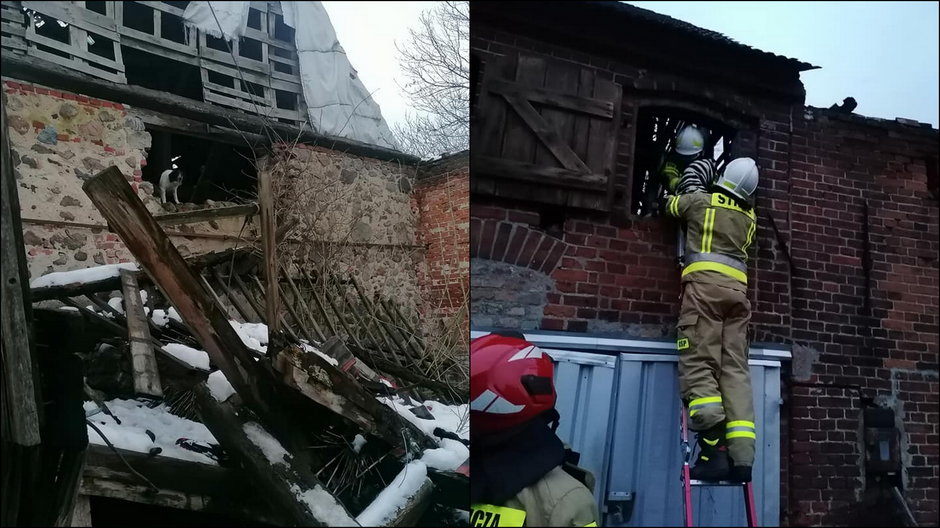 Pies utknął w stodole fot. OSP Bogdaniec