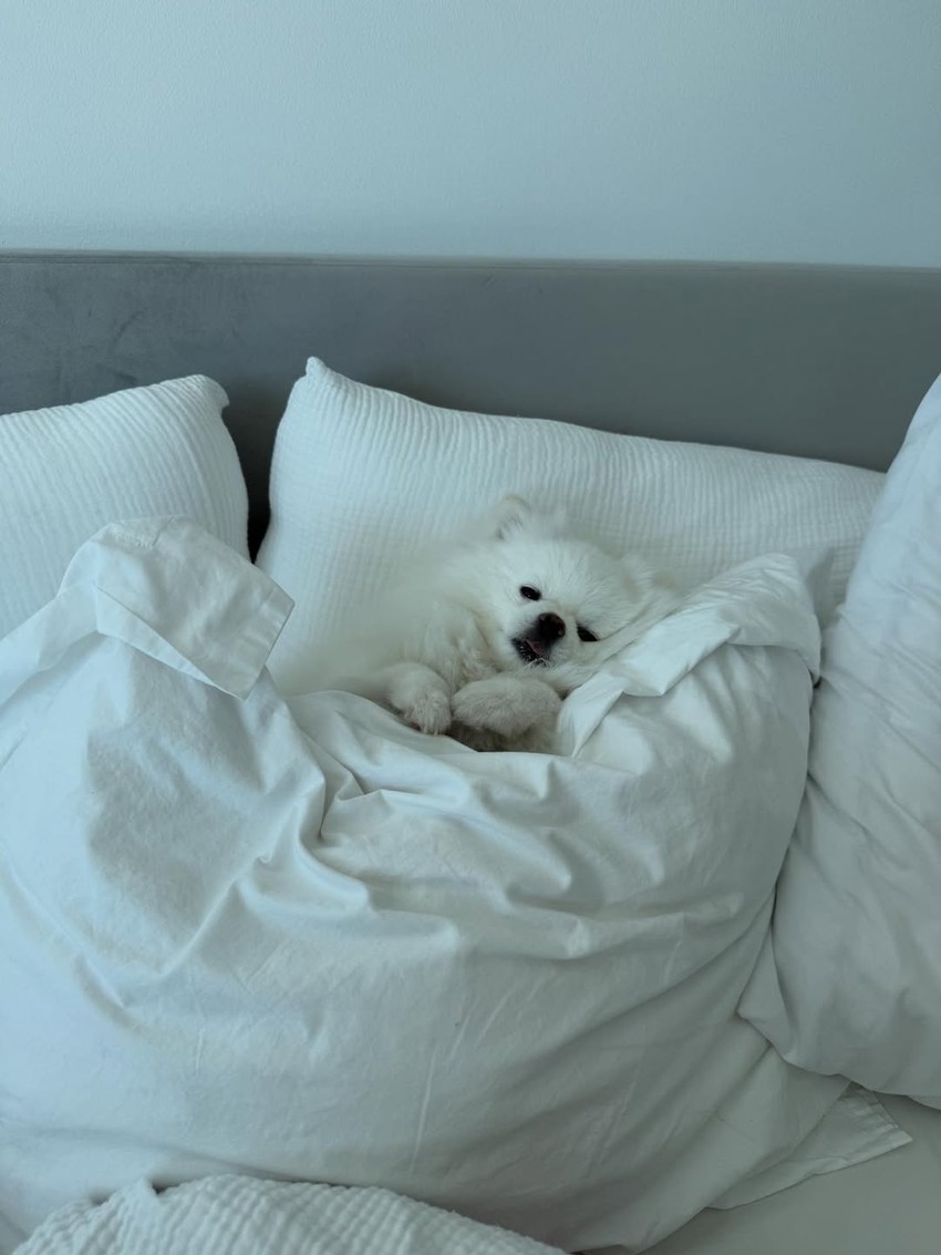 Ćerka Kaje Ostojić se oglasila sa Floride