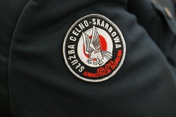 krajowa administracja skarbowa podsumowała swoje audyty