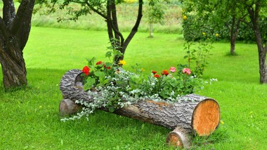 betonowe donice są już passe. to będzie hit 2026 roku. najmodniejsze donice do ogrodu